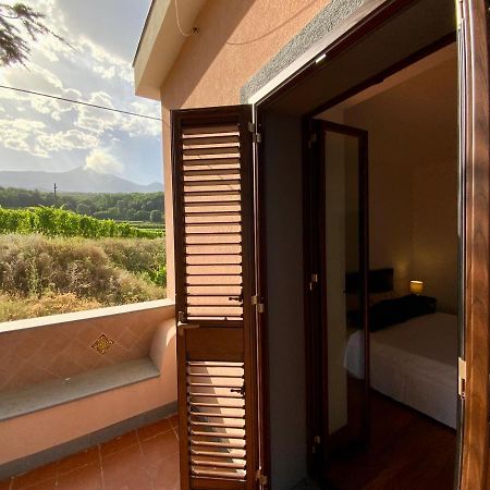 Tenuta Kiwi Dell'Etna Milo Luaran gambar