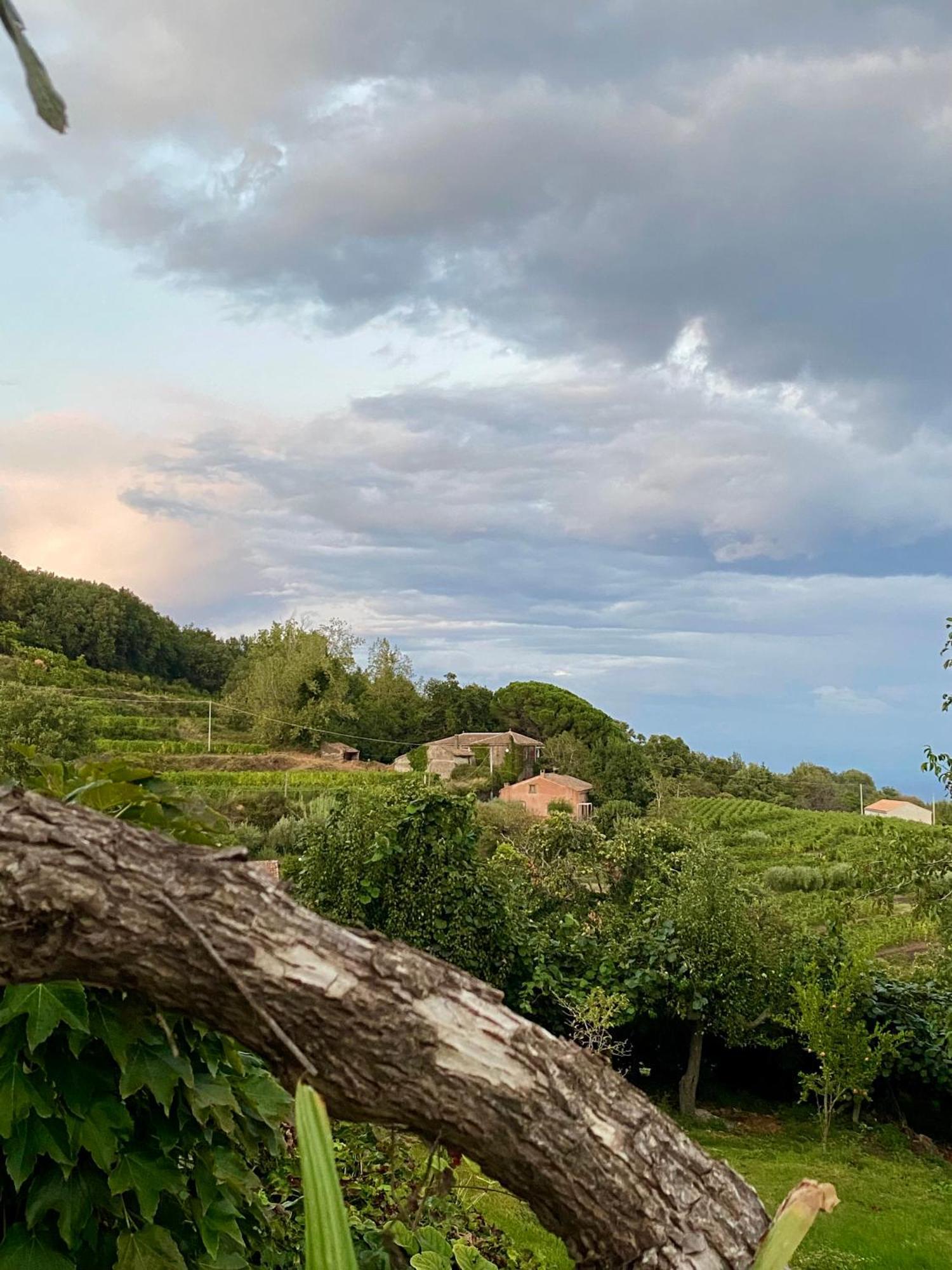 Tenuta Kiwi Dell'Etna Milo Luaran gambar